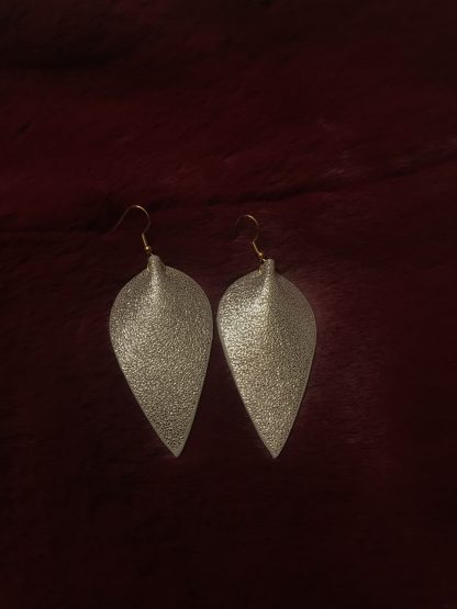 Shiny Silver Earrings
